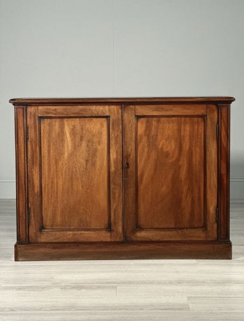 19TH CENTURY MAHOGANY CUPBOARD - ADDITIONAL PHOTO 1