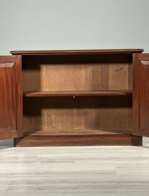 19TH CENTURY MAHOGANY CUPBOARD - ADDITIONAL PHOTO 2