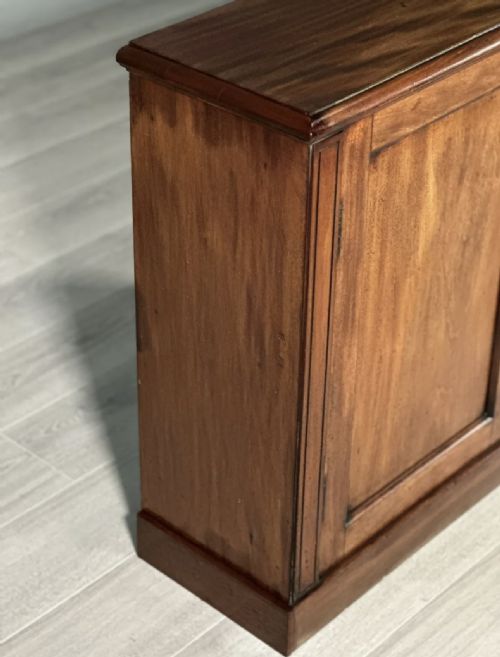 19TH CENTURY MAHOGANY CUPBOARD - ADDITIONAL PHOTO 4