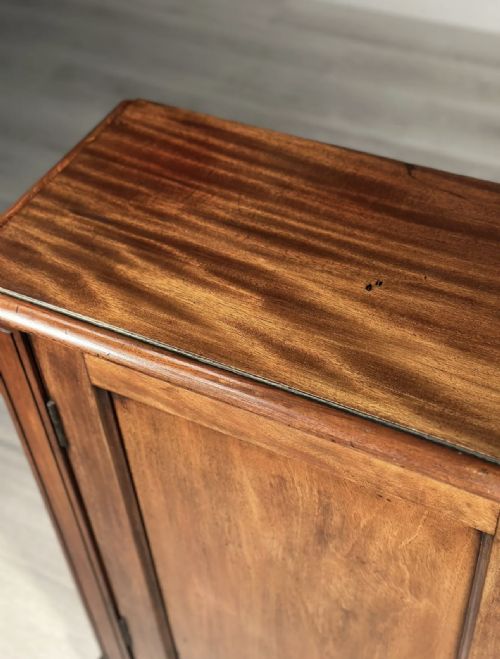 19TH CENTURY MAHOGANY CUPBOARD - ADDITIONAL PHOTO 9