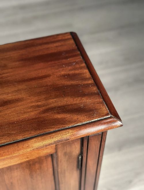 19TH CENTURY MAHOGANY CUPBOARD - ADDITIONAL PHOTO 10