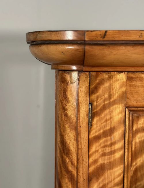 19TH CENTURY SATIN BIRCH HOUSEKEEPERS CUPBOARD - ADDITIONAL PHOTO 4