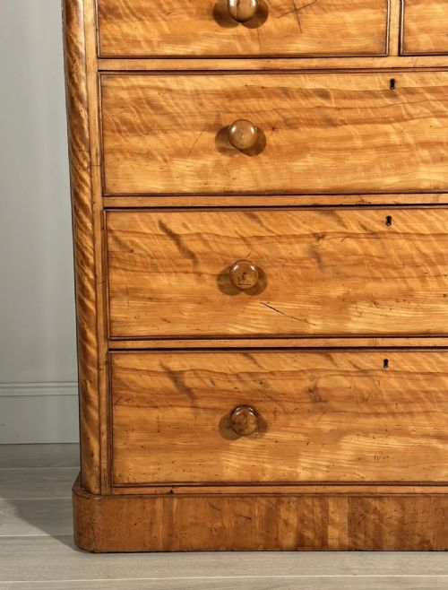 19TH CENTURY SATIN BIRCH HOUSEKEEPERS CUPBOARD - ADDITIONAL PHOTO 6