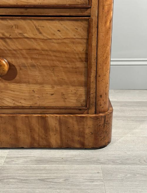 19TH CENTURY SATIN BIRCH HOUSEKEEPERS CUPBOARD - ADDITIONAL PHOTO 12