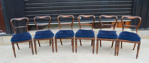 Fine Set of 6 William IV Rosewood Dining Chairs