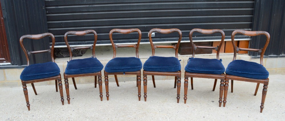 Fine set of 6 William iv rosewood dining chairs