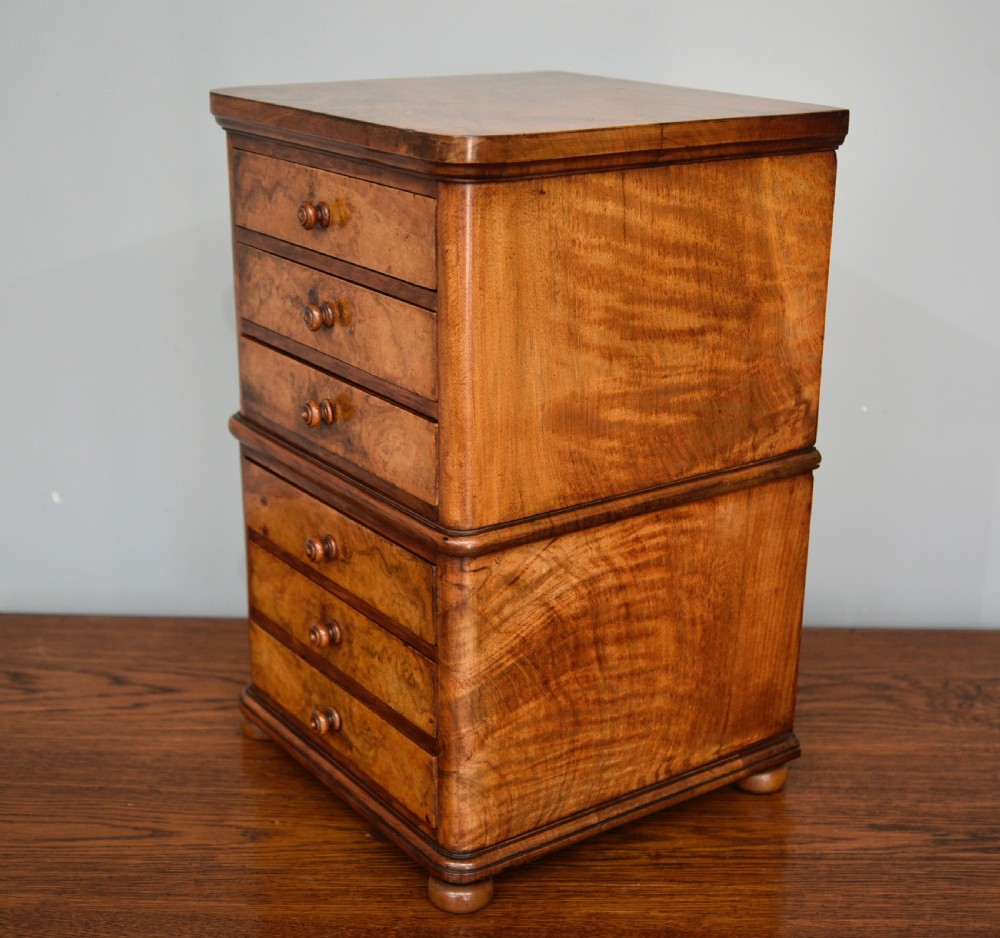 Small Victorian walnut 6 drawer collectors chest of drawers  View III