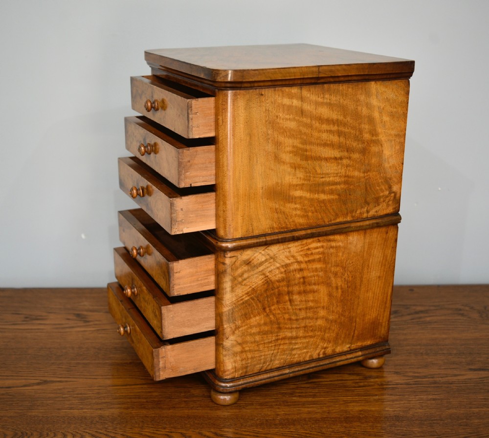 Small Victorian walnut 6 drawer collectors chest of drawers  View IV