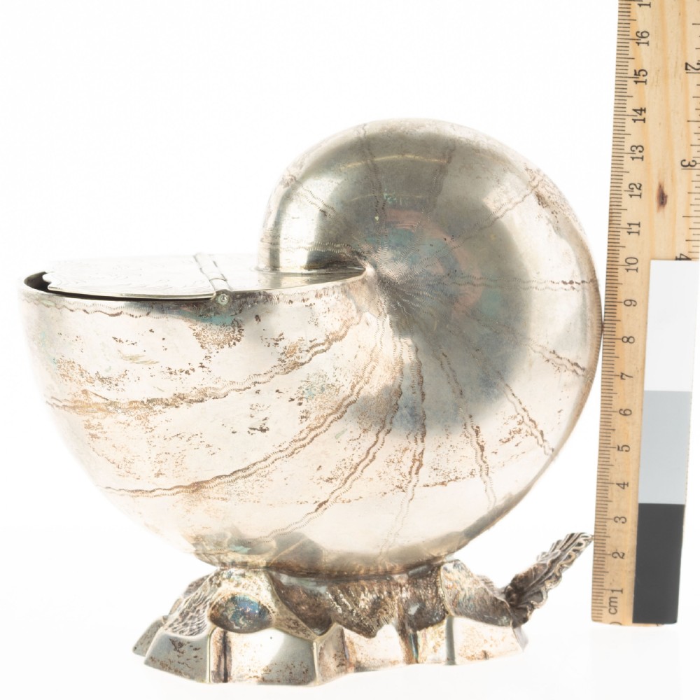 A Victorian silver-plated spoon warmer fashioned in the shape of a nautilus shell with engraved detailing and a hinged lid, resting on a textured base. View IV