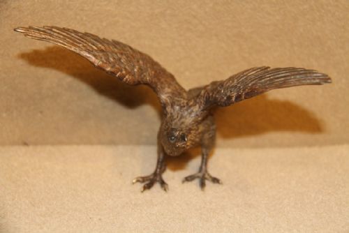 Austrian Cold Painted Bronze of a Golden Eagle