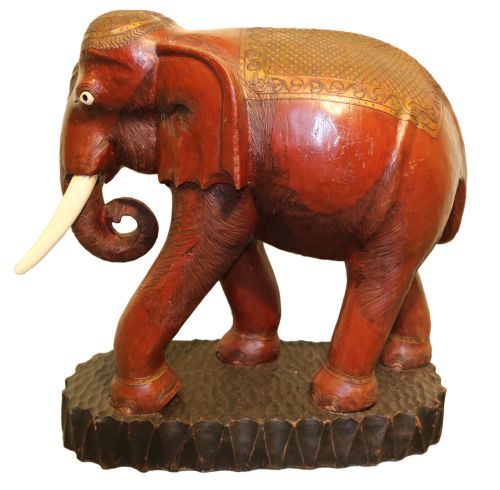 A Huge Indian Elephant