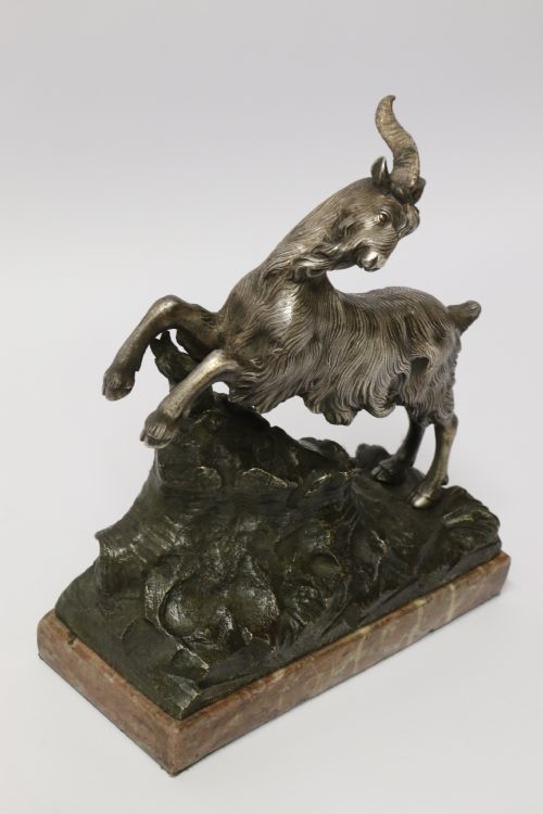 A Mid 19th Century Silvered Bronze Study of  a Goat.