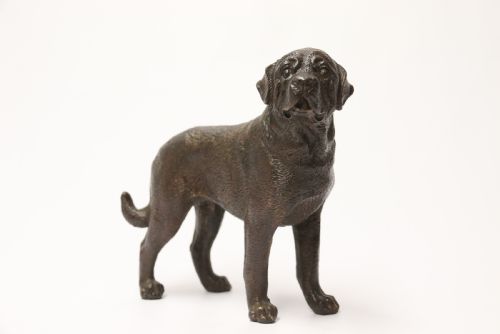 An Early 20th Century Bronze Study of a Bullmastiff Dog.