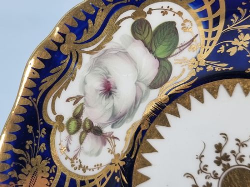 fig 1. An early nineteenth-century Coalport porcelain cabinet trio featuring a teacup, coffee cup, and saucer styled with cobalt blue borders, gilded detailing, and hand-painted white rose panels.