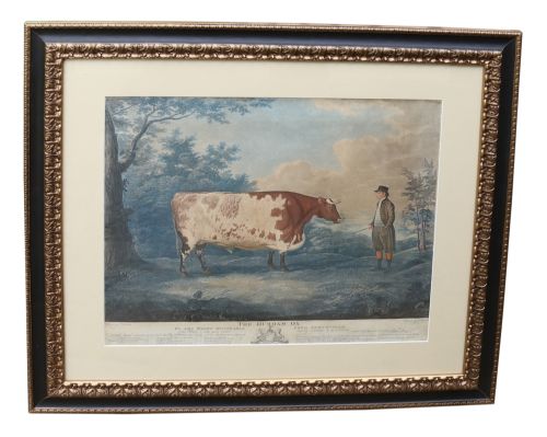fig 1. John Boultbee