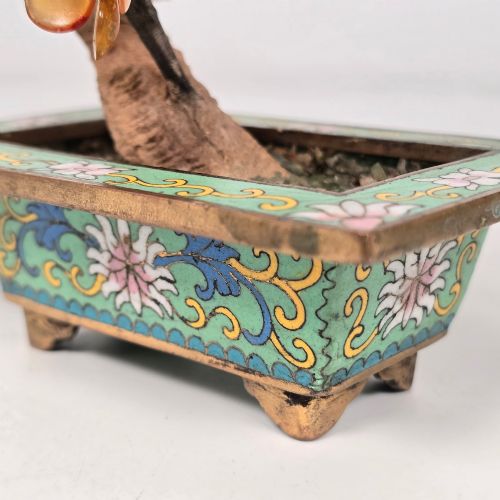 A CHINESE CLOISONN AND CARVED HARDSTONE PRUNUS BONSAI TREE - ADDITIONAL PHOTO 13