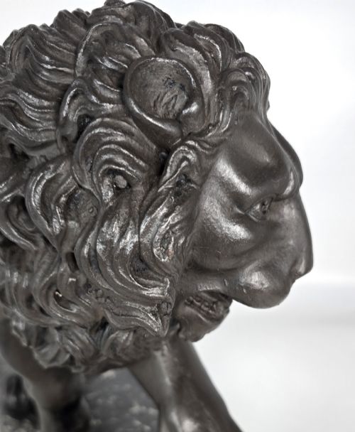 ANTIQUE MID 19TH C GRAND TOUR MEDICI LION SCULPTURE ON MARBLE PLINTH - ADDITIONAL PHOTO 10