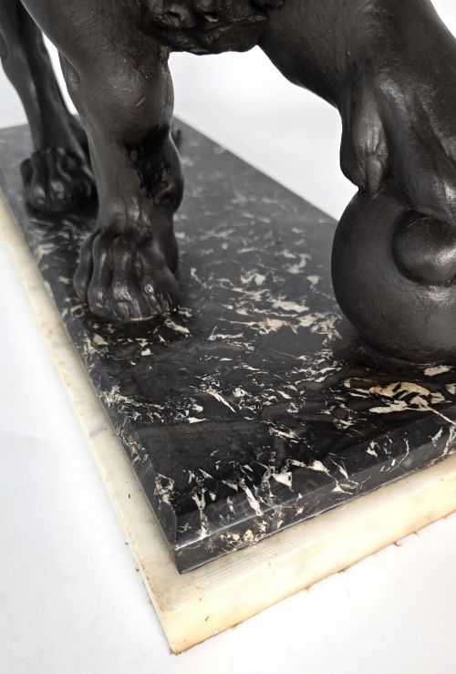 ANTIQUE MID 19TH C GRAND TOUR MEDICI LION SCULPTURE ON MARBLE PLINTH - ADDITIONAL PHOTO 12