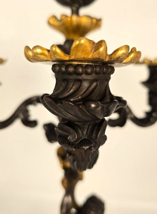 PAIR OF 19TH CENTURY FRENCH BRONZE AND GILT FIVE LIGHT CANDELABRA - ADDITIONAL PHOTO 10