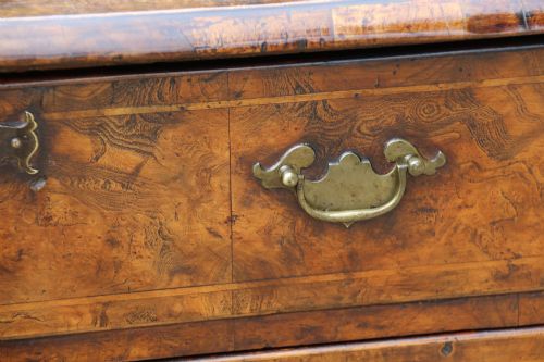 fig 3. A George II burr elm lowboy table with three drawers, brass handles, a shaped apron, and cabriole legs.