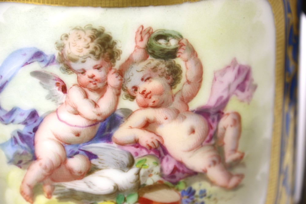 A fine 19th century pair of French Sevres style porcelain and ormolu Vases. View XI