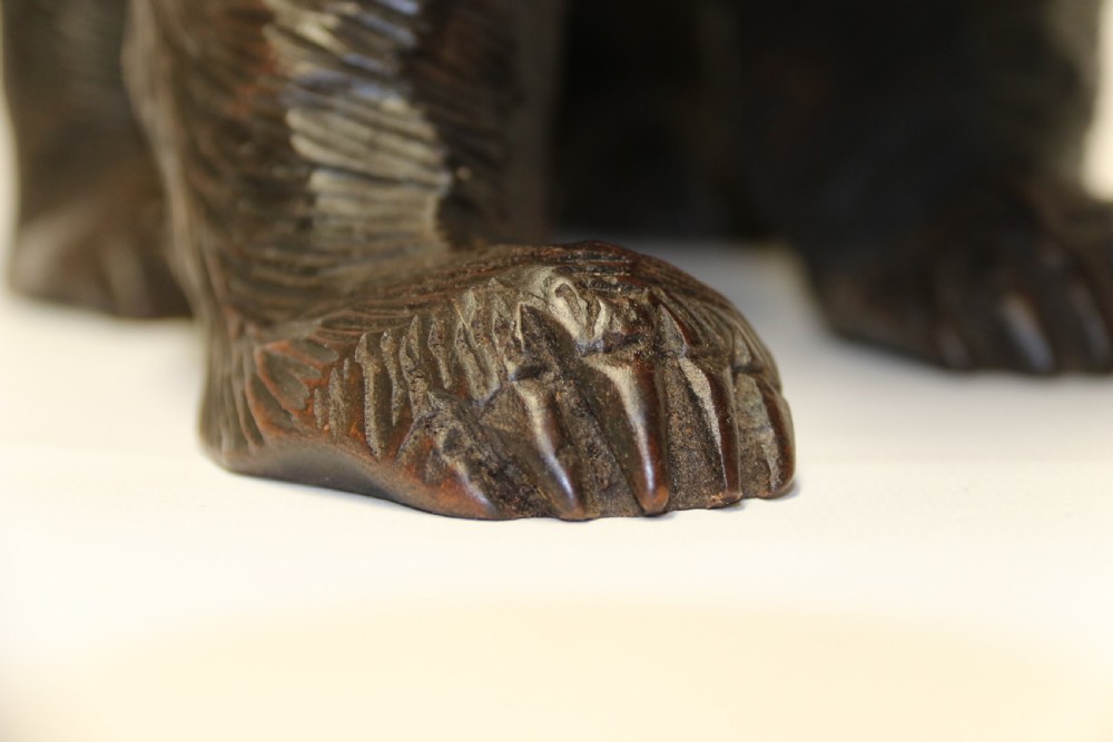 A Black Forest carved Bear View XI