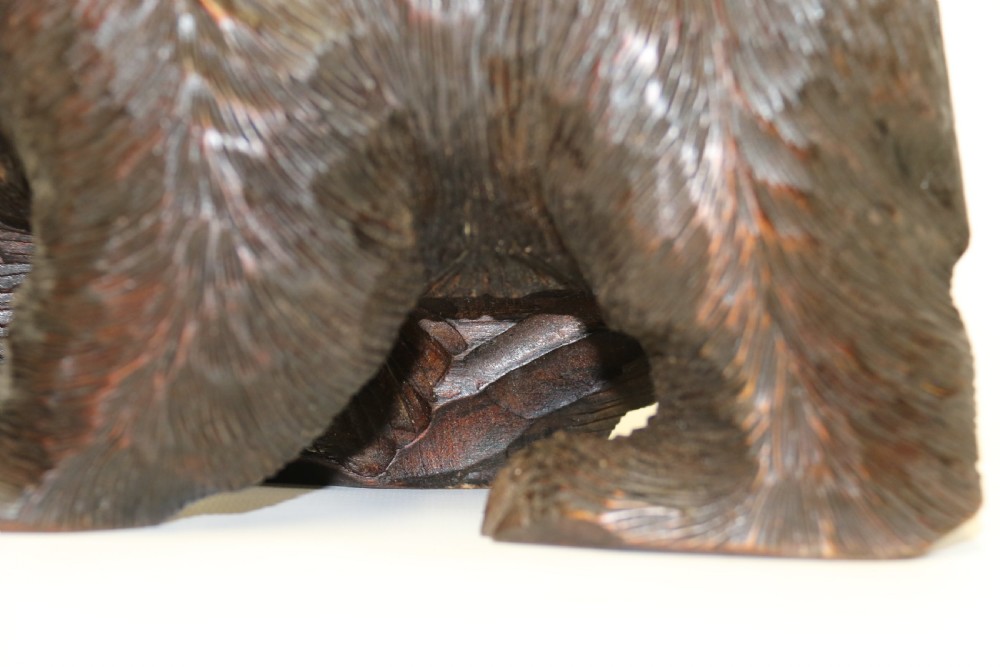 A Black Forest carved Bear View XIV