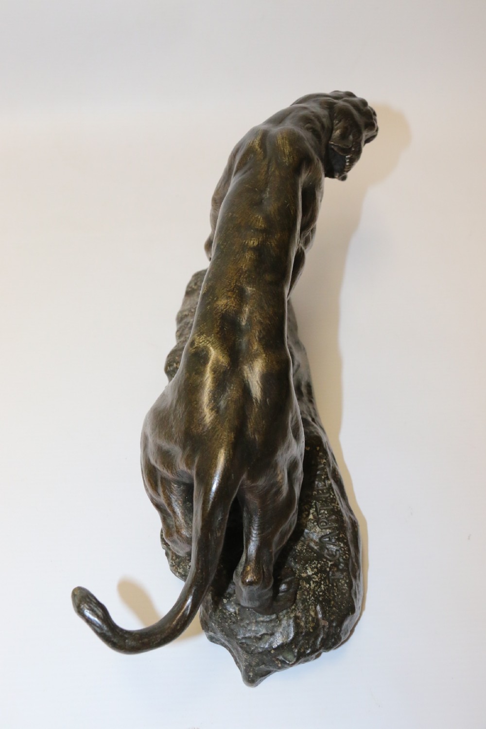 Early 20th century Bronze Panther by T Cartier View VII