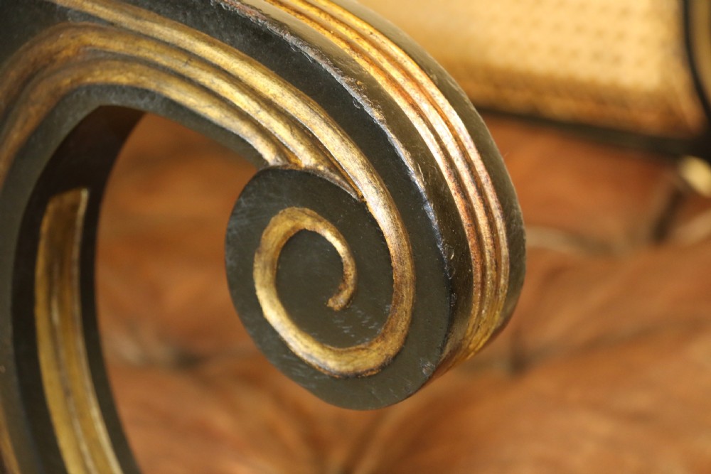 A superb pair of Bergère Library Chairs. View XV