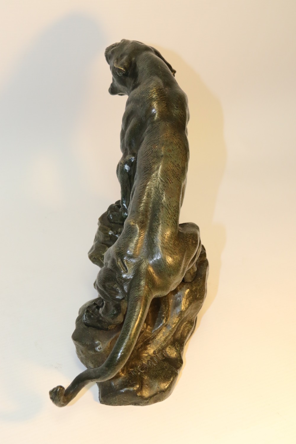 An early 20th Century Bronze Study of a Panther by Thomas Cartier View XVII