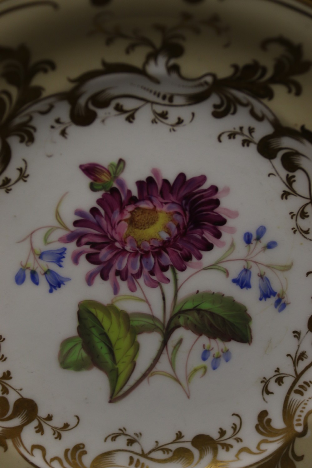 An early nineteenth-century Davenport porcelain cabinet trio comprising a teacup, coffee cup, and matching saucer decorated with hand-painted botanical flowers and gilded scrolling borders. View III