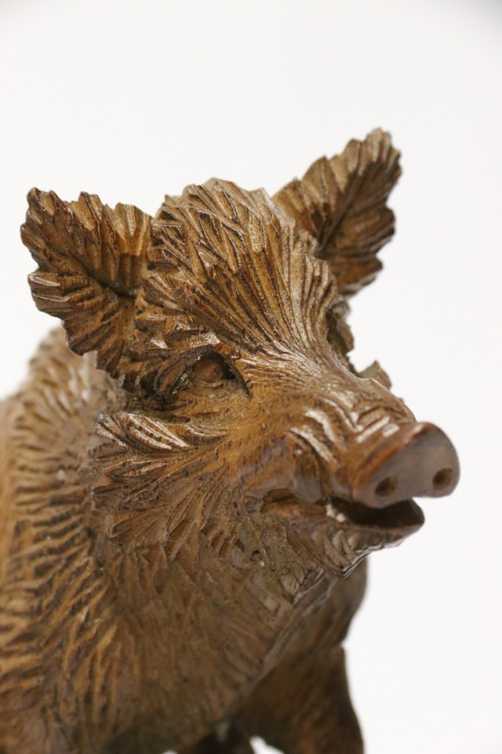 A fine Black Forest limewood carved study of a boar. View XVI