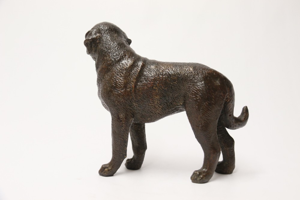 An early 20th century bronze study of a bullmastiff dog. View III