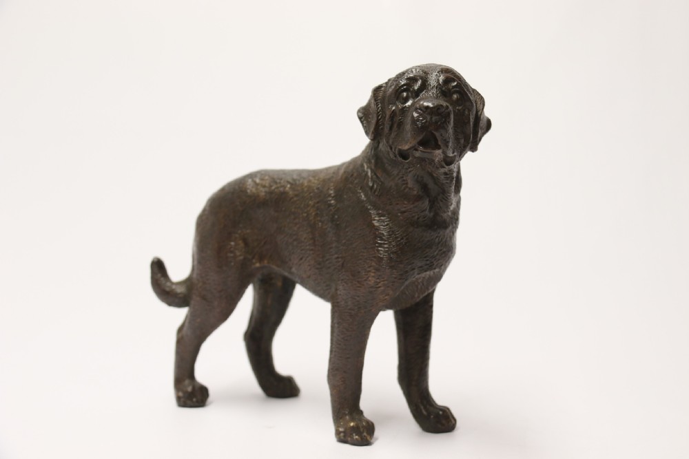 An early 20th century bronze study of a bullmastiff dog. View V