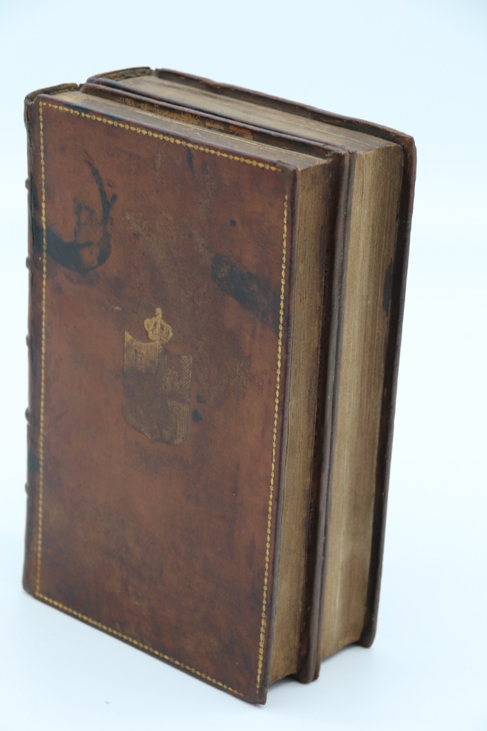 A rare 19th century desk pen and inkstand made in the form of two leather bound books. View XX