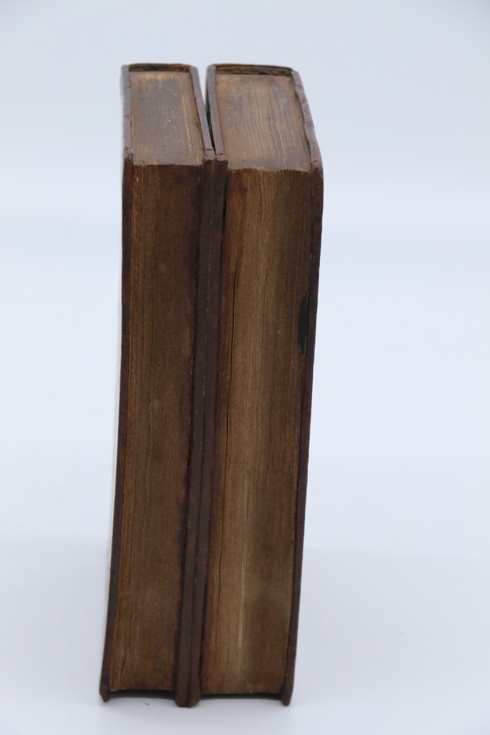 A rare 19th century desk pen and inkstand made in the form of two leather bound books. View XXI