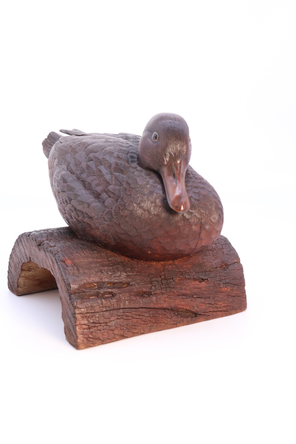 A superb Black Forest carved linden wood study of  a perched mallard duck.

 View III