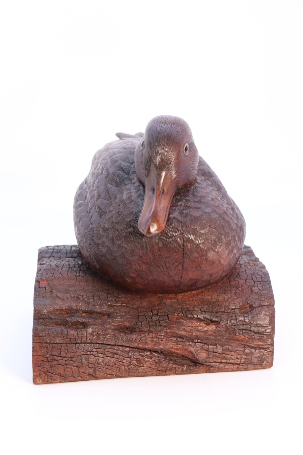 A superb Black Forest carved linden wood study of  a perched mallard duck.

 View IV