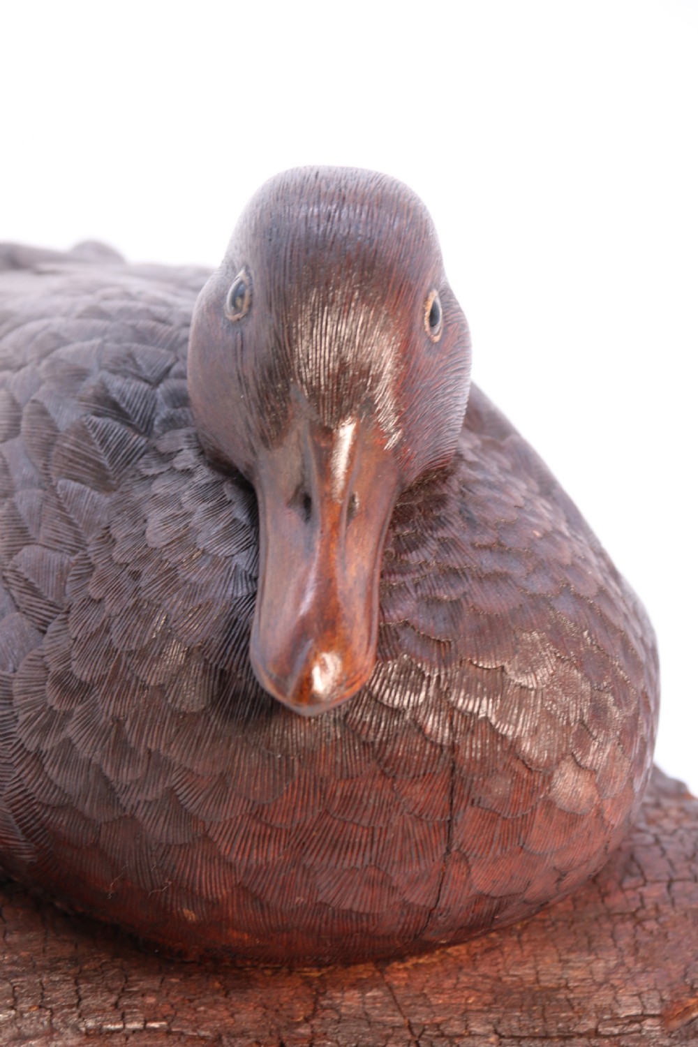 A superb Black Forest carved linden wood study of  a perched mallard duck.

 View XIII
