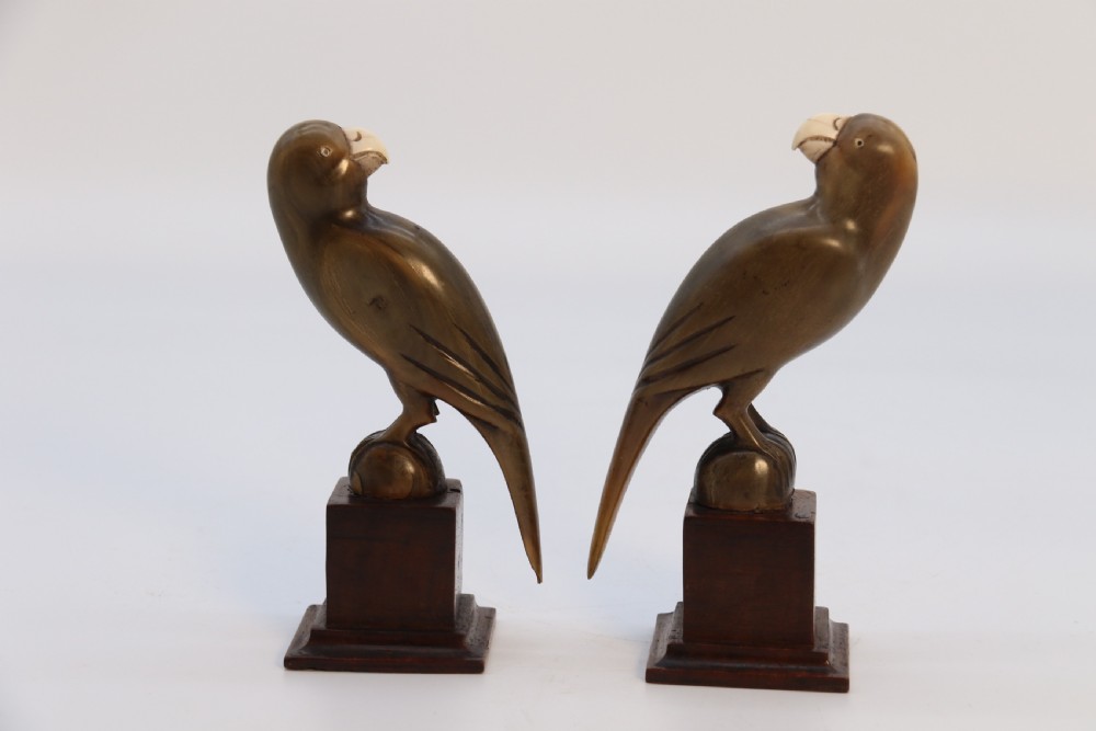 An Indian Raj period pair of carved buffalo horn parrots on wooden stands, circa 1890

 View II