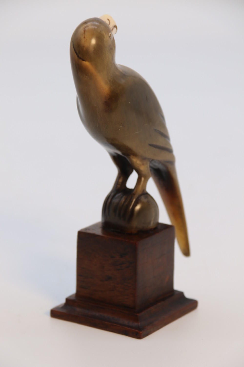 An Indian Raj period pair of carved buffalo horn parrots on wooden stands, circa 1890

 View XIX