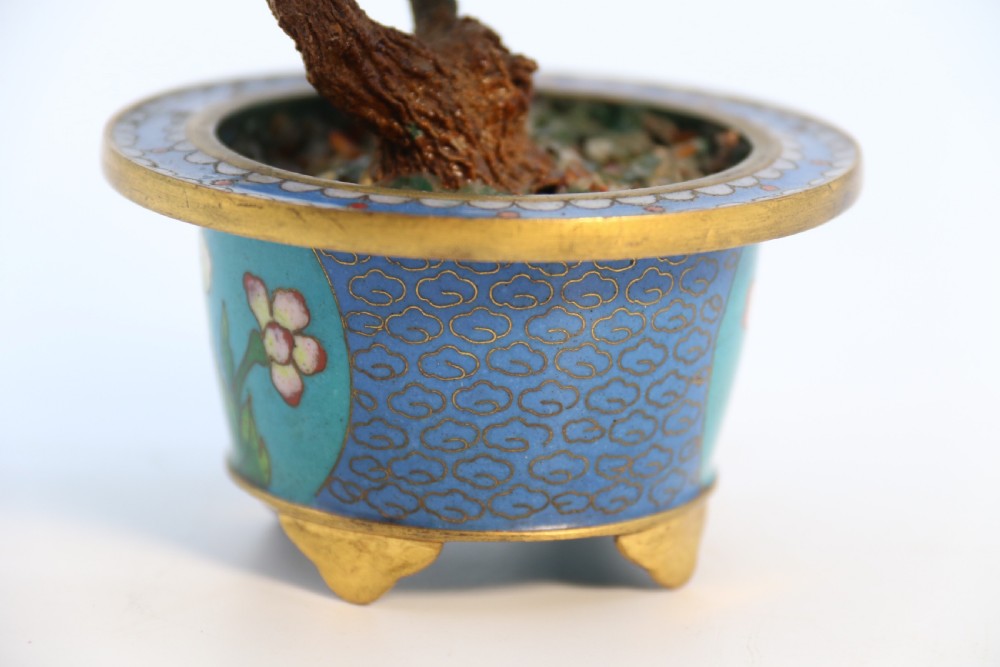 A very fine Chinese carved hardstone and cloisonne study of a flowering bonsai tree, circa 1920 View XIII