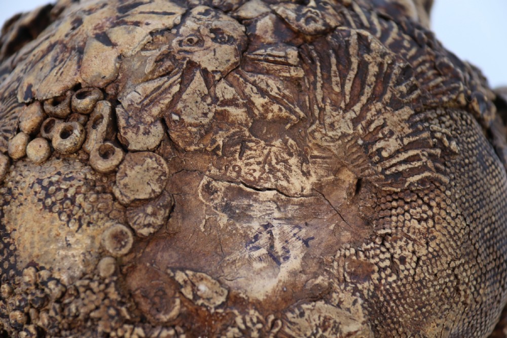 A rare studio pottery hand created mythical sculpture of the many faces of sea urchins. View XVIII