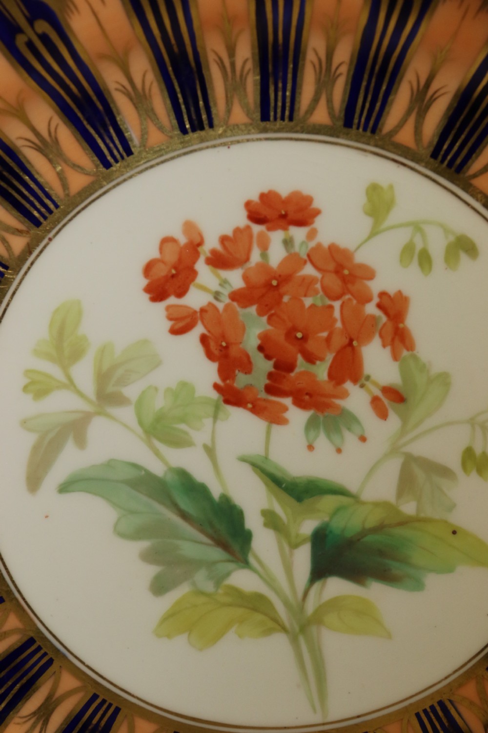 A pair of circular antique porcelain cabinet plates featuring central hand-painted floral motifs surrounded by elaborate gilded and cobalt blue borders. View III