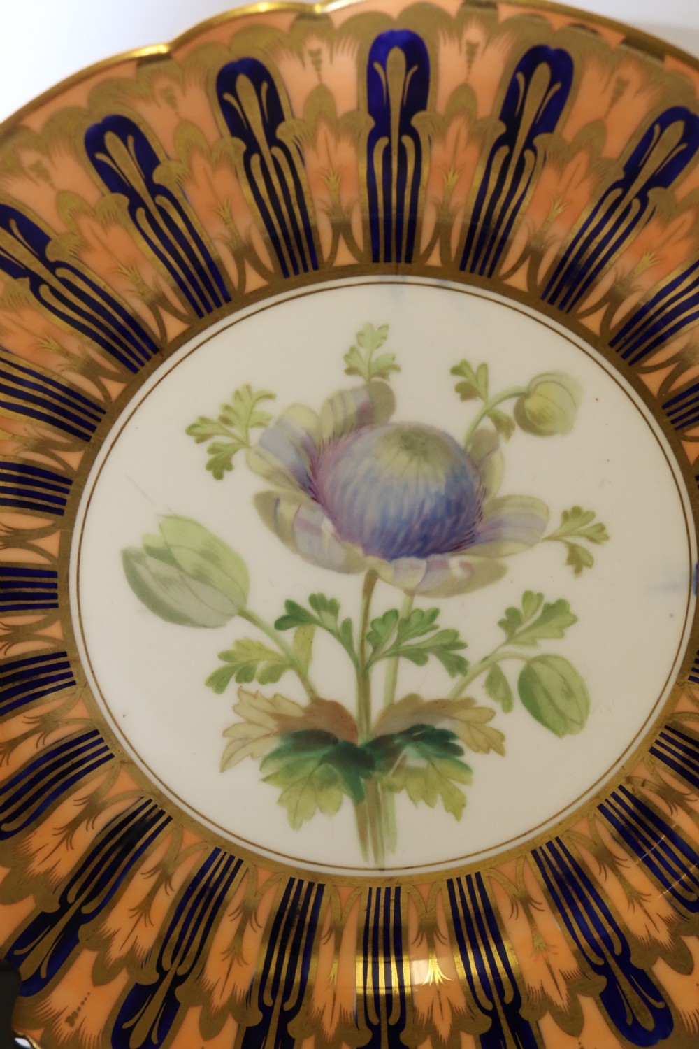 A pair of circular antique porcelain cabinet plates featuring central hand-painted floral motifs surrounded by elaborate gilded and cobalt blue borders. View VI