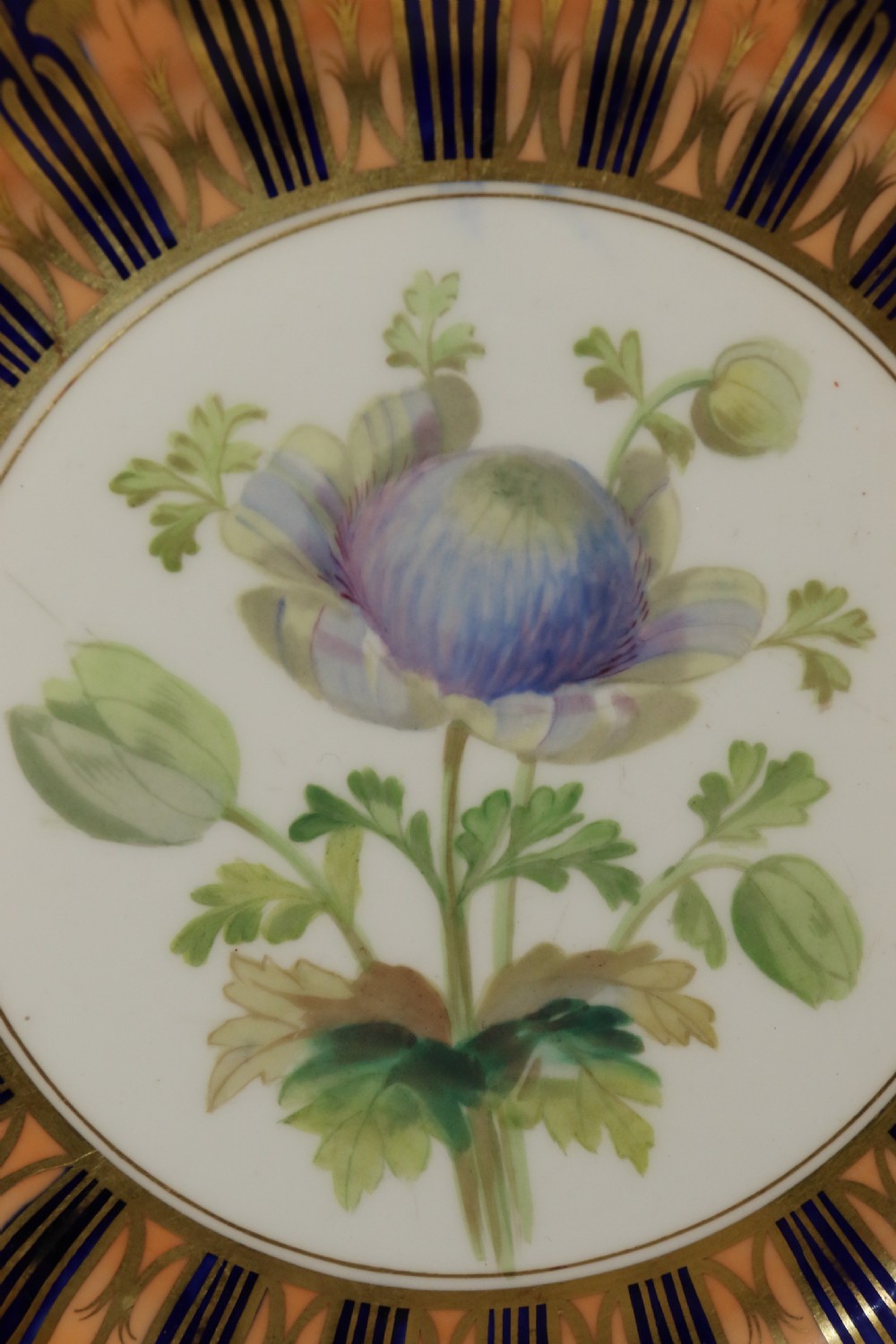 A pair of circular antique porcelain cabinet plates featuring central hand-painted floral motifs surrounded by elaborate gilded and cobalt blue borders. View XI