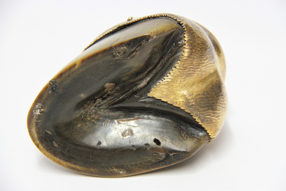 An antique Edwardian horse hoof inkwell featuring an intricately engraved hinged silver-gilt lid with foliate scrolls and a dated memorial inscription. View XI