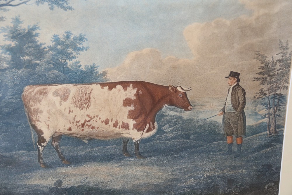 John Boultbee 