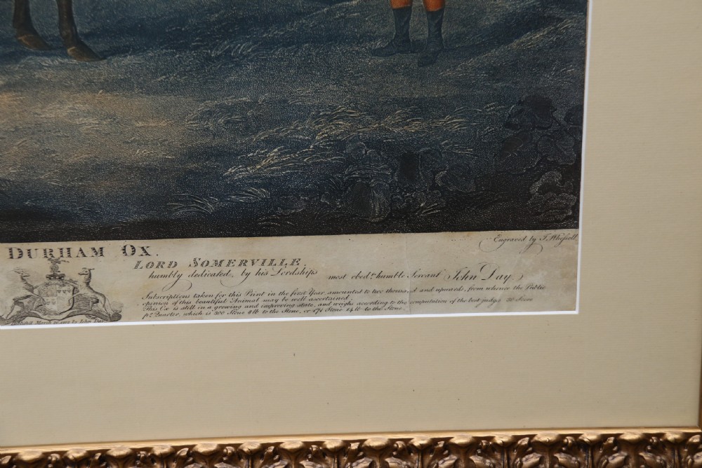John Boultbee 