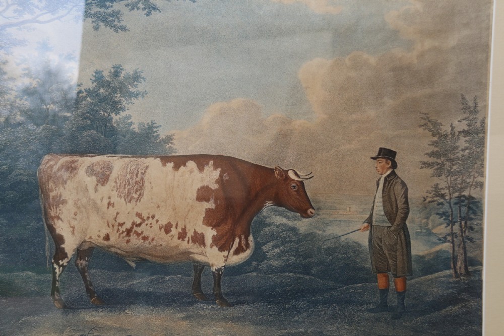 John Boultbee 